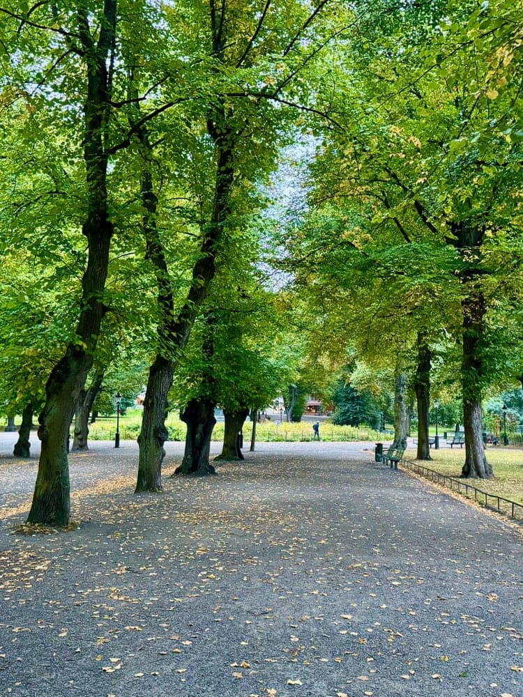 Stockholm's Autumn Embrace