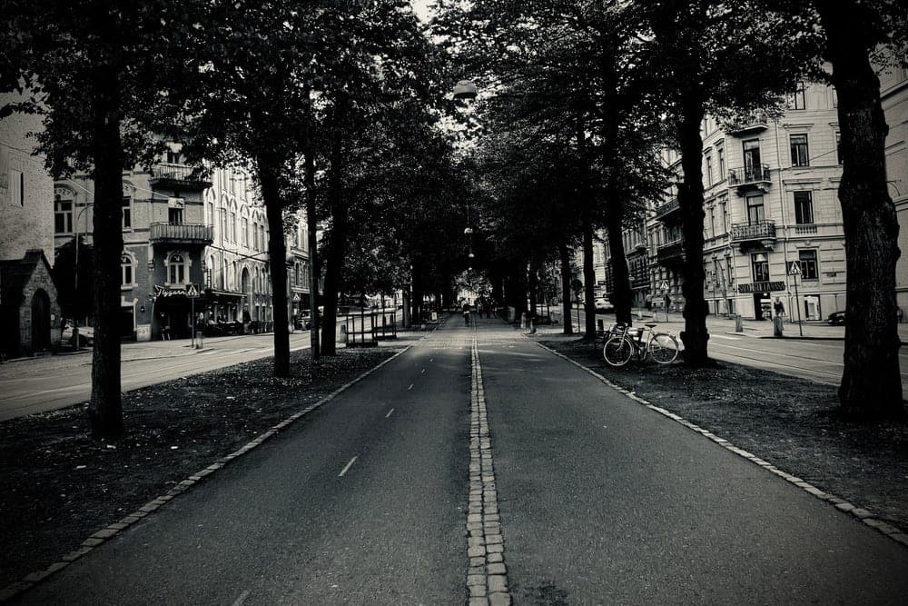 A symmetrical, tree-lined avenue in Göteborg, Sweden, with buildings on either side and a lone bicycle parked by a tree. Black and white.