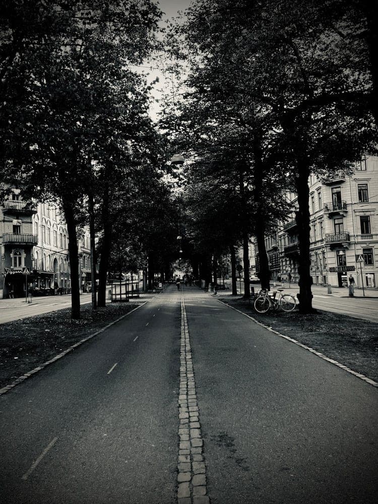 Avenue of Shadows