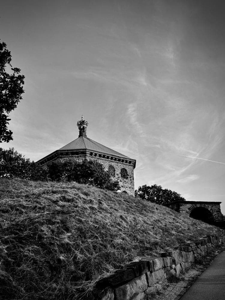 Crown of the Hill