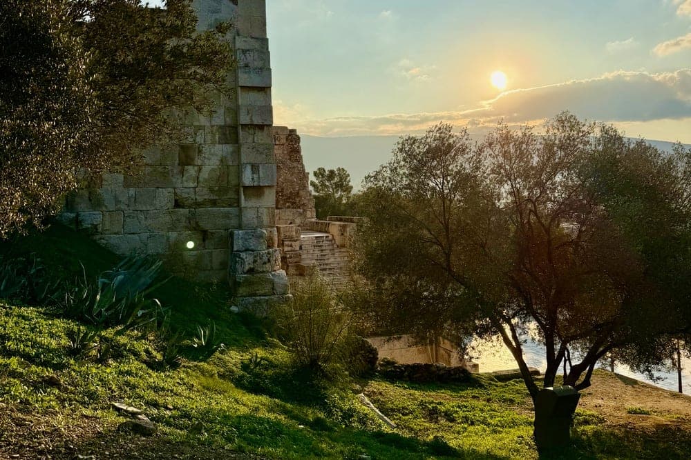 Ancient stone ruin in Athens, Greece, bathed in the golden light of sunset, with an olive tree in the foreground.