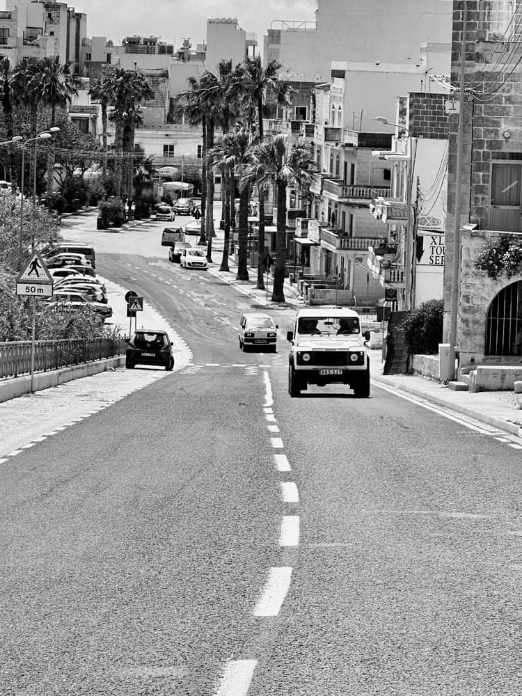 Malta Roadscape Palm Trees