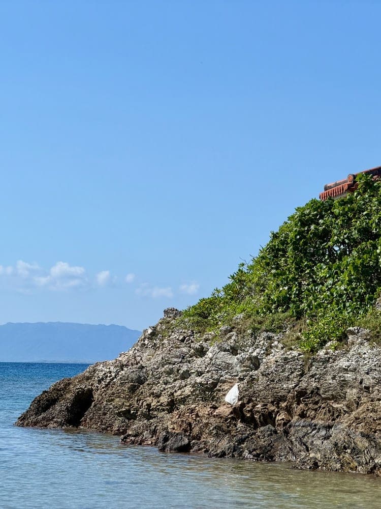Okinawa's Verdant Coast