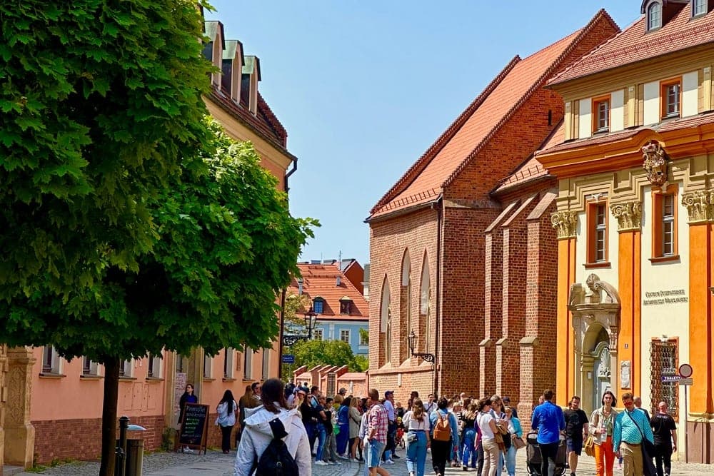 A bustling street in Wrocław, Poland, on a sunny day, with people walking on a cobblestone path between historic buildings and a large green tree.