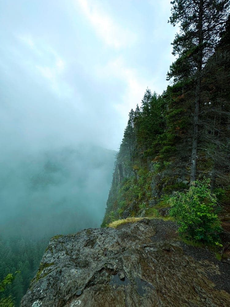 Misty Forest Precipice