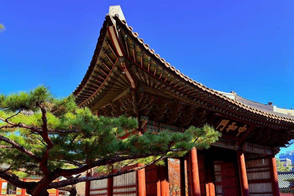 Deoksugung Palace gate in Seoul, South Korea, under a clear blue sky with a pine tree in the foreground.
