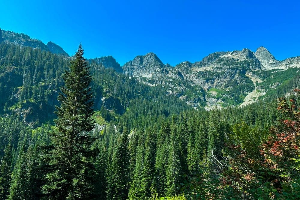 A dense evergreen forest leads to the rugged, rocky peaks of the Cascade Mountains under a clear blue sky, taken at Snoqualmie Pass, Washington, United States.