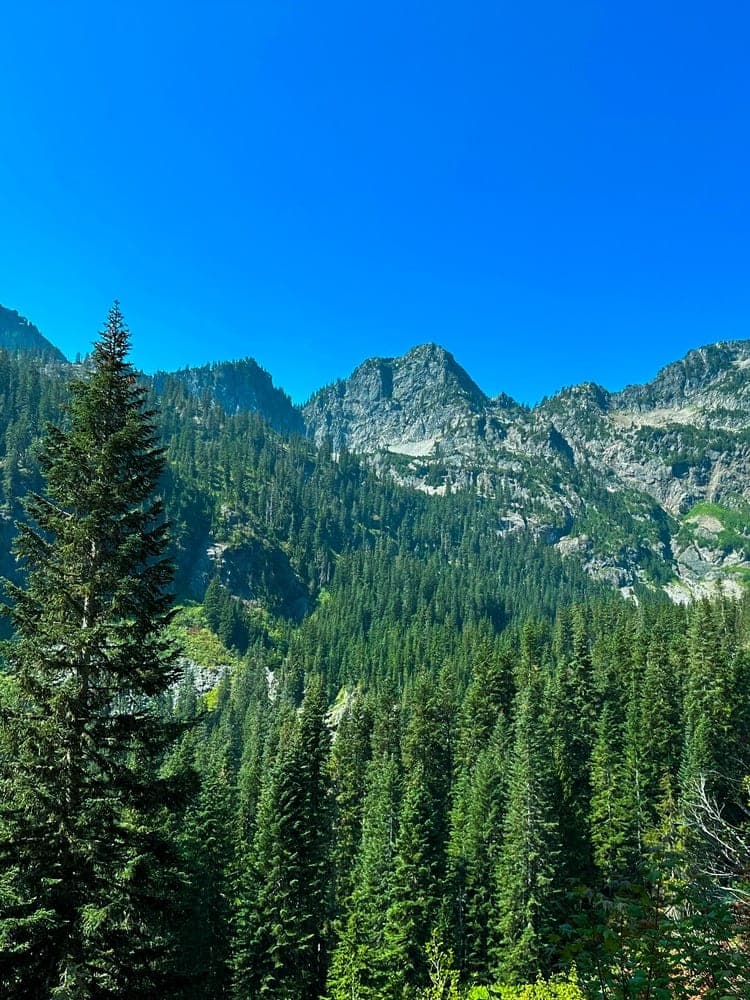 Cascade Peaks Verdant Forest