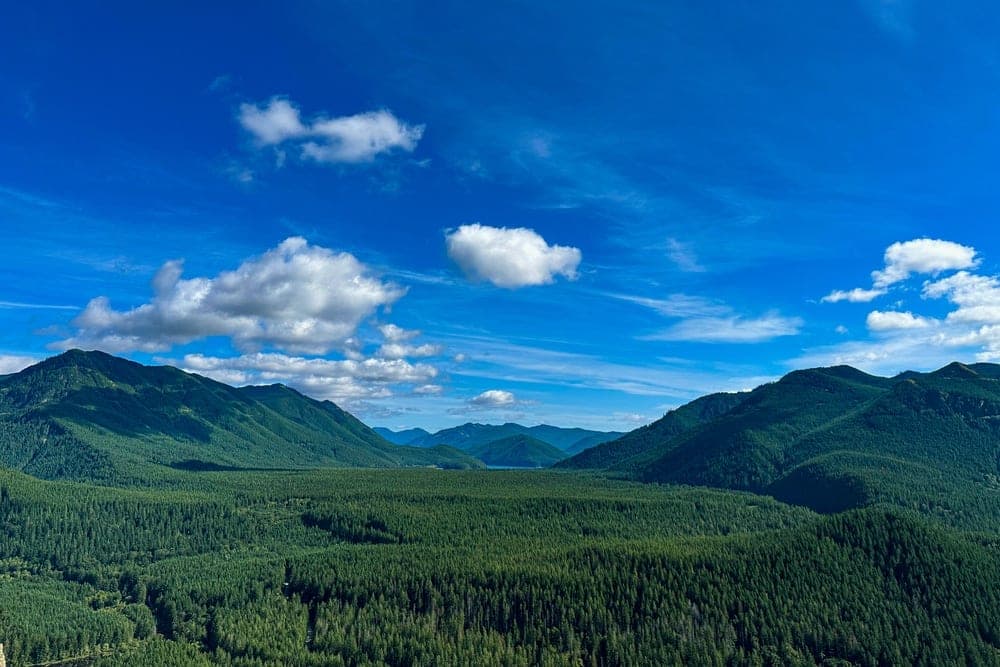 Panoramic view of dense evergreen forests leading to rolling mountains under a bright blue sky with scattered clouds, taken at Rattlesnake Mountain Trail, North Bend, Washington, United States.