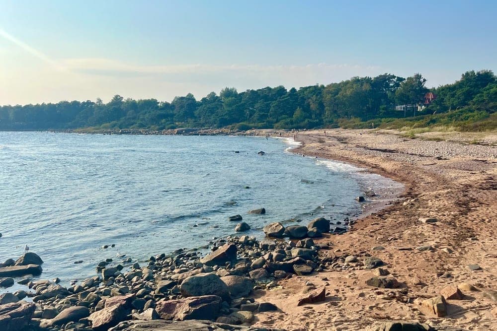 A rocky and sandy beach on the coast of Halmstad, Sweden, with the blue sea on the left and a dense green forest bordering the shore.