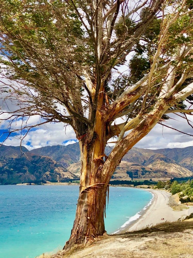 New Zealand