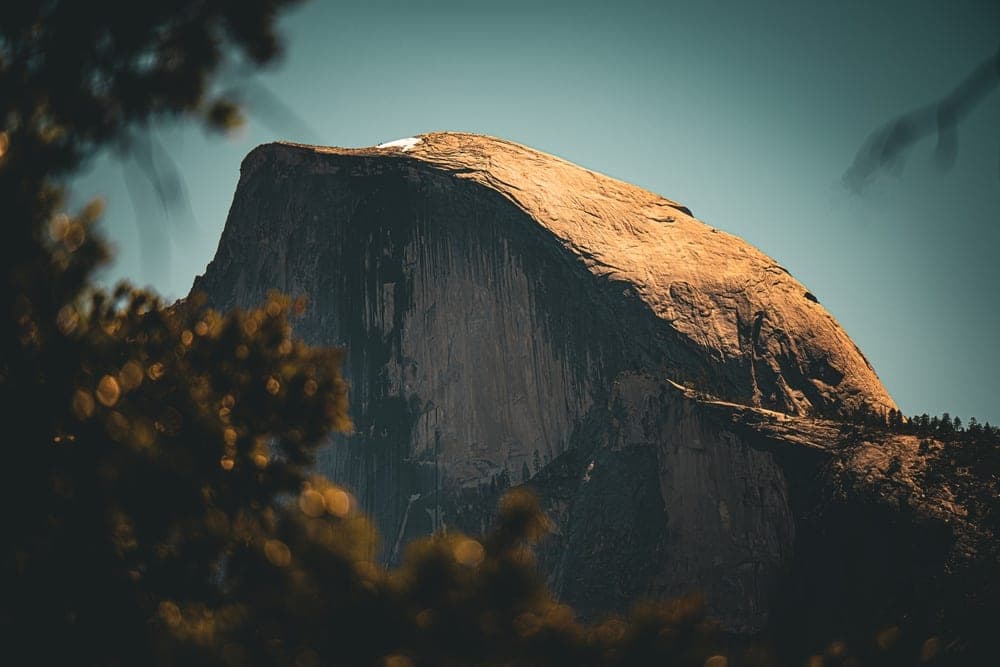 Half Dome in Yosemite National Park, California, United States, illuminated by golden sunlight, framed by blurred pine branches.
