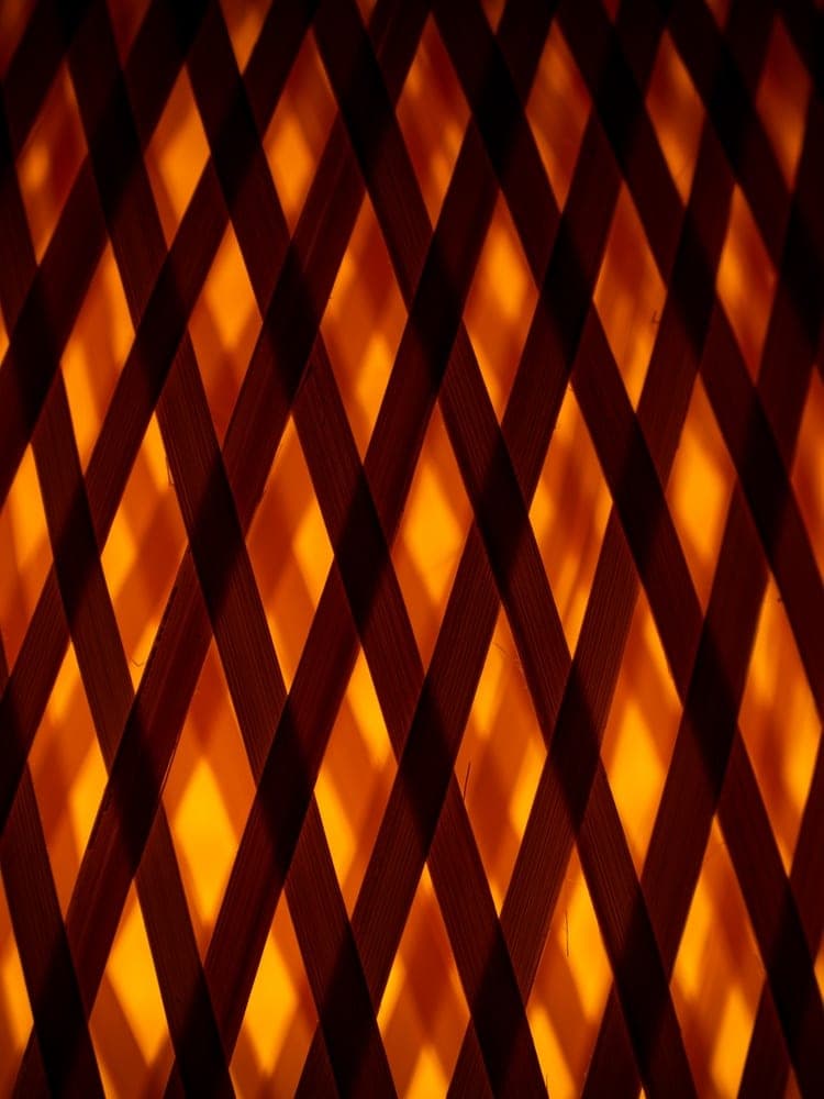 Bamboo Glow