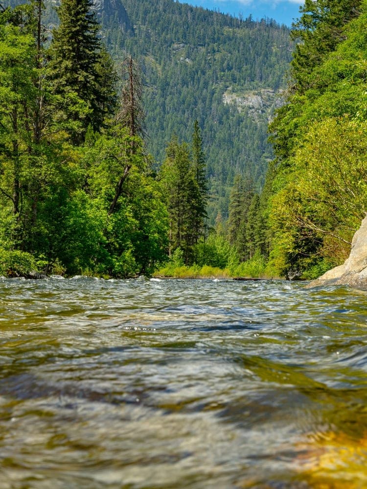 Yosemite River Flow