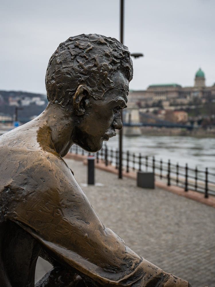 Budapest River Watcher