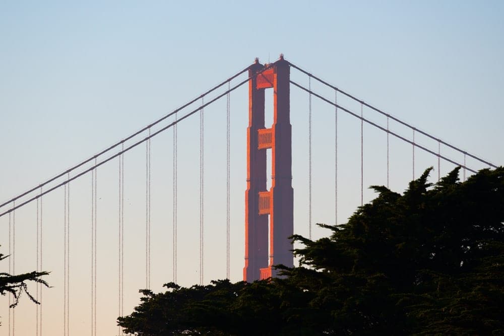 The Golden Gate Bridge tower illuminated by sunset light, with cypress trees in the foreground.