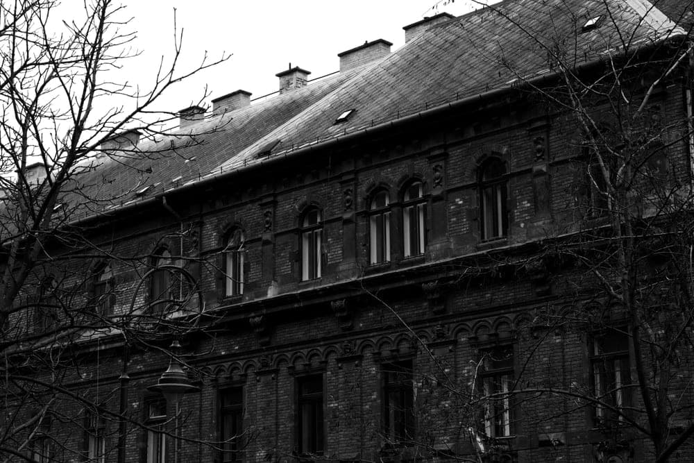 Monochrome view of a historic brick building facade in Budapest, Hungary, with bare tree branches in the foreground.