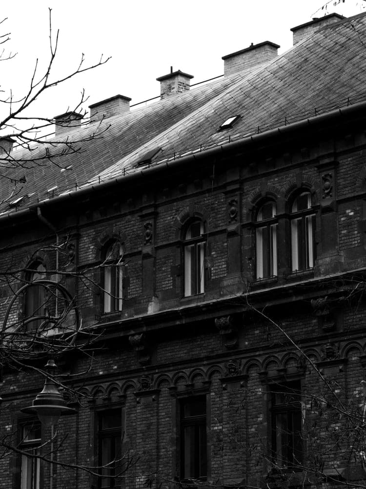 Budapest Facade Silhouette