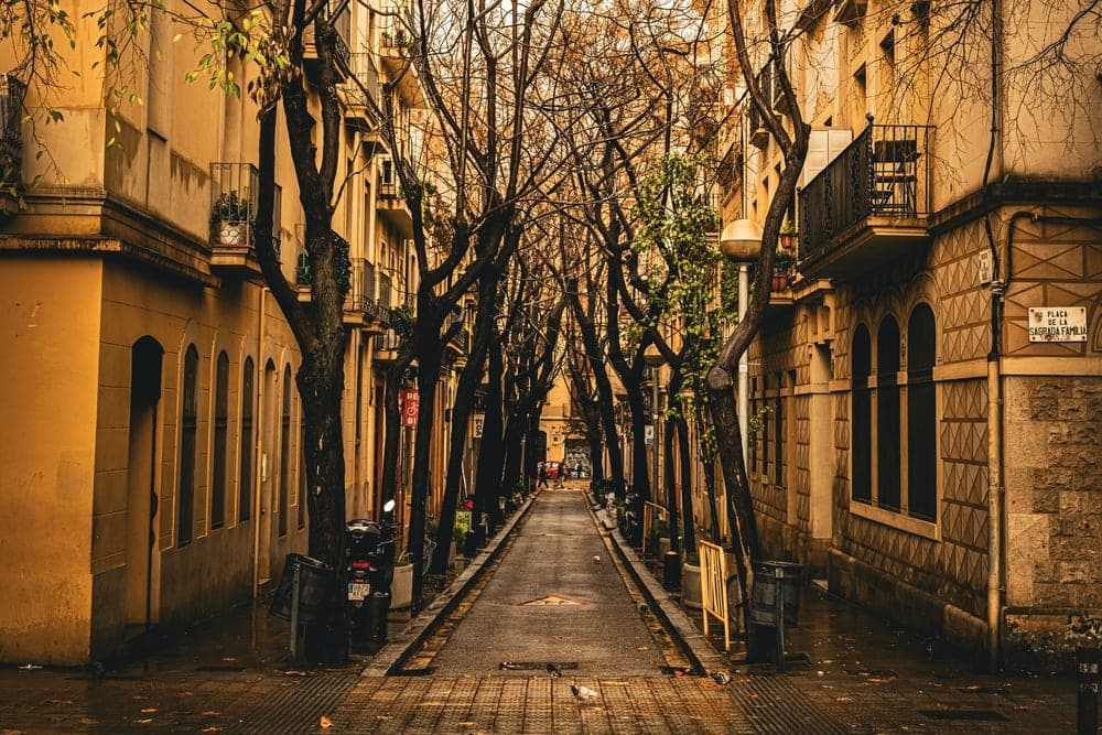 A tree-lined street in Barcelona, Spain, with bare trees and ochre-colored buildings.