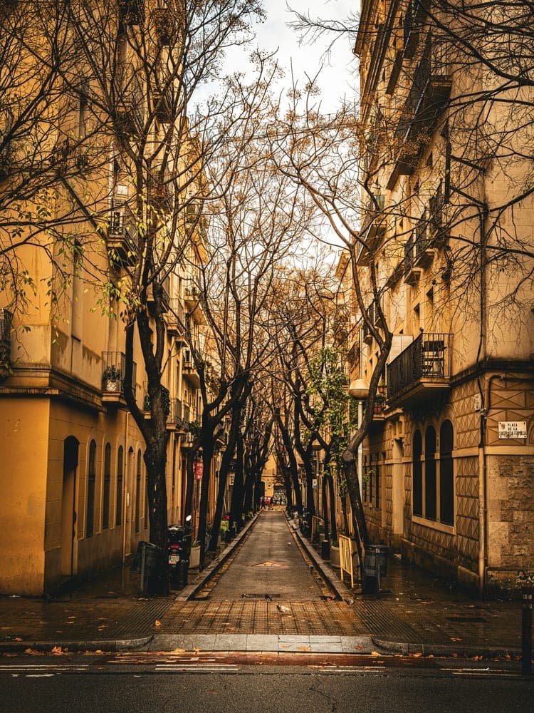 Barcelona's Autumnal Calm
