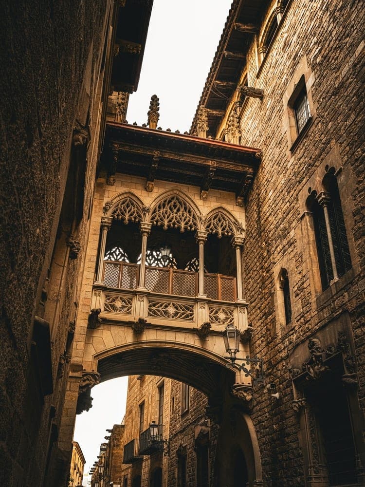 Gothic Archway's Embrace