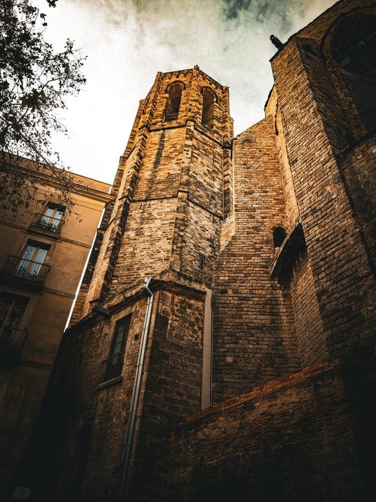 Gothic Tower's Gaze