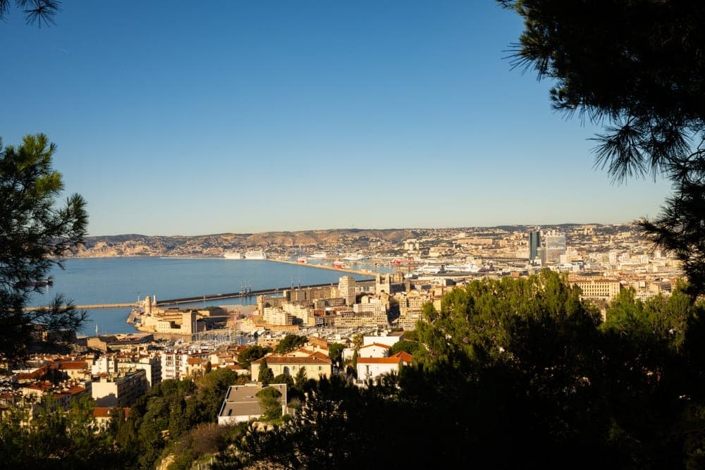 Panoramic view of Marseille, France, with the Mediterranean Sea and harbor in the mid-ground, framed by pine trees.