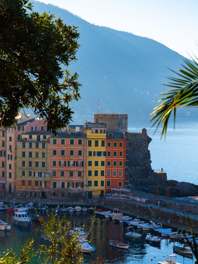 Camogli Harbor Sunrise
