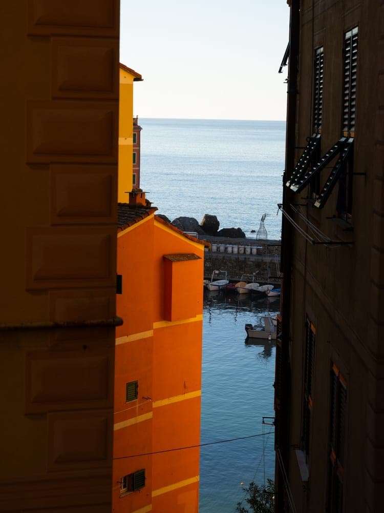 Camogli Harbour View