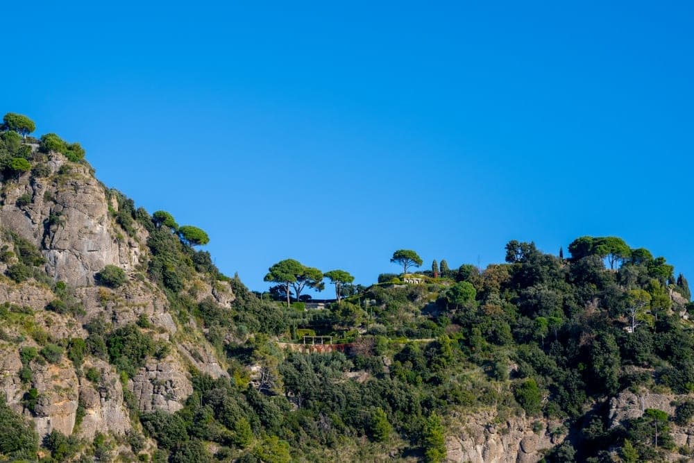 A lush, green cliffside in Camogli, Genoa, Italy, with scattered villas and pine trees under a clear blue sky.