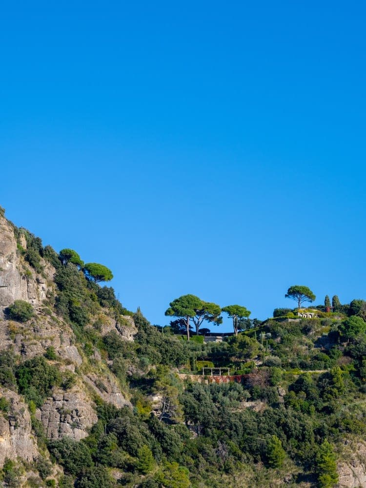 Ligurian Heights Serenity