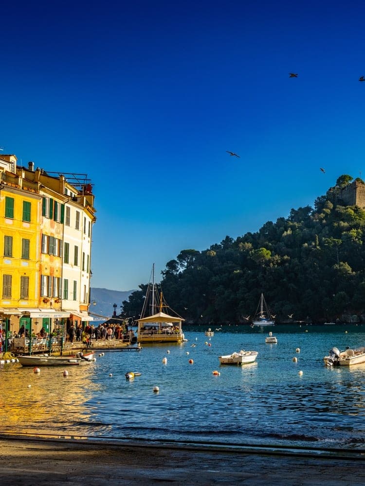 Portofino's Azure Embrace