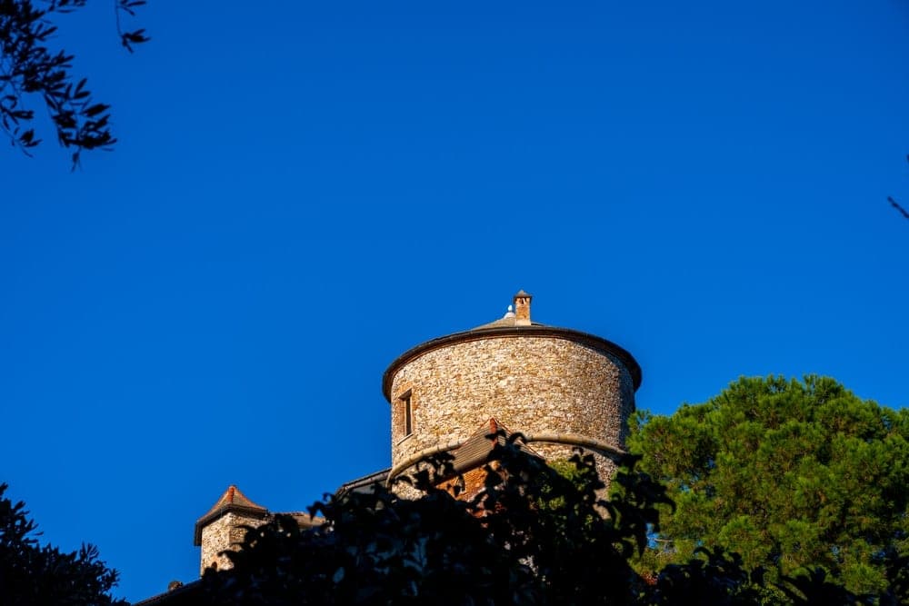 A stone tower in Portofino, Italy, against a bright blue sky, with silhouetted foliage in the foreground and pine trees to the right.