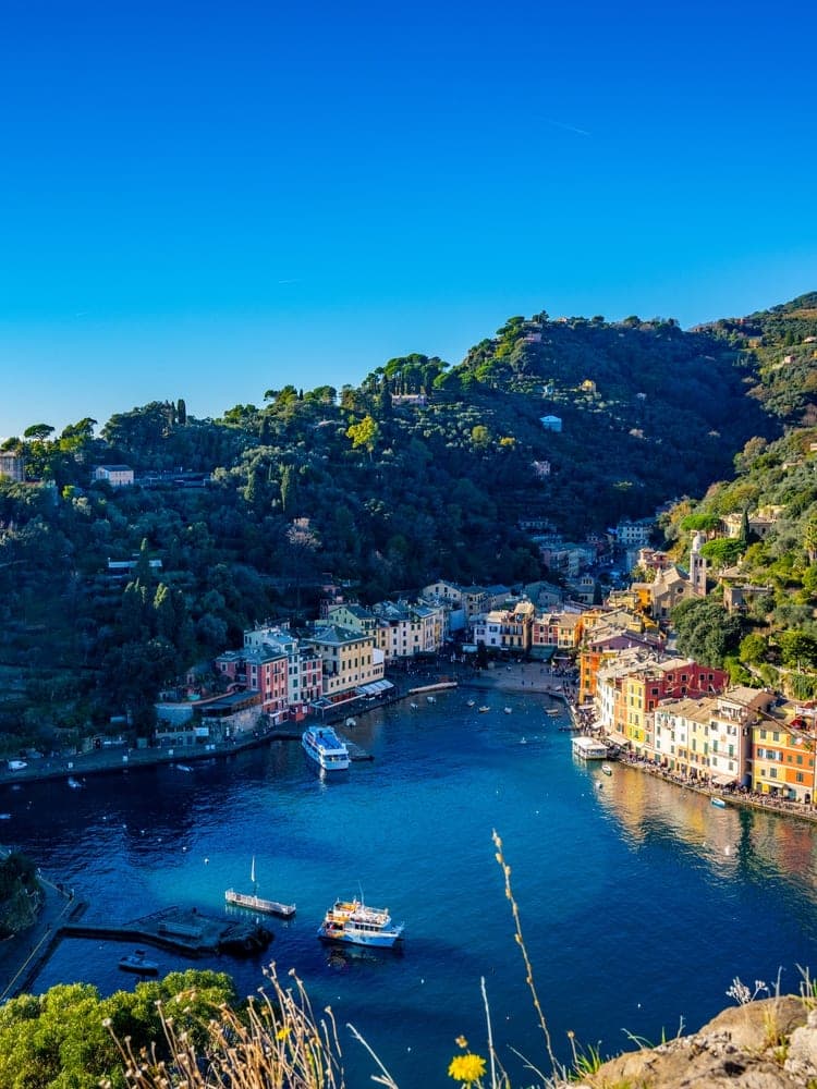 Portofino Harbor Serenity