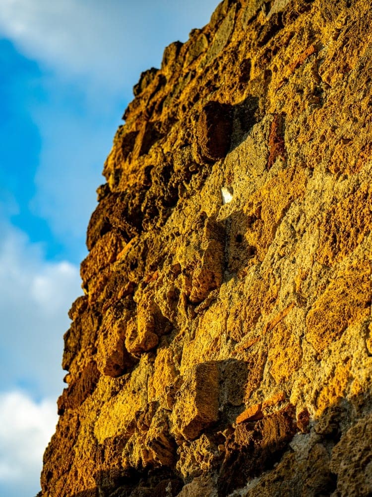Pompeii's Golden Resilience