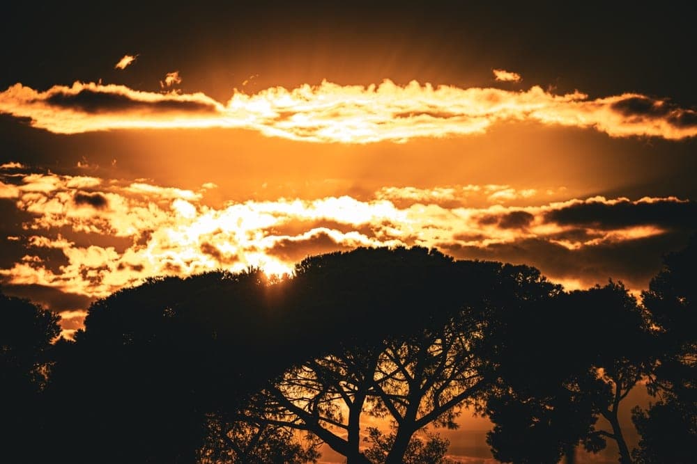 A dramatic sunset with golden light breaking through clouds, silhouetting pine trees in Pompeii, Italy.
