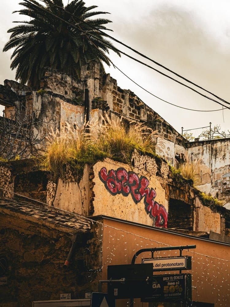 Palermo's Resilient Soul
