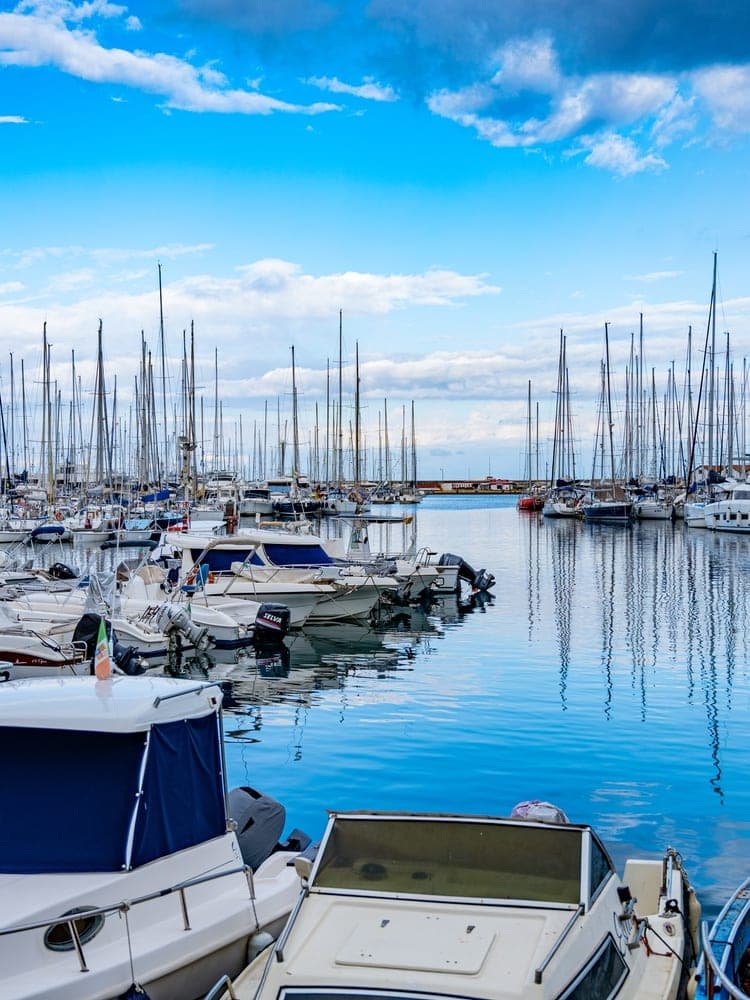 Palermo's Sailing Fleet