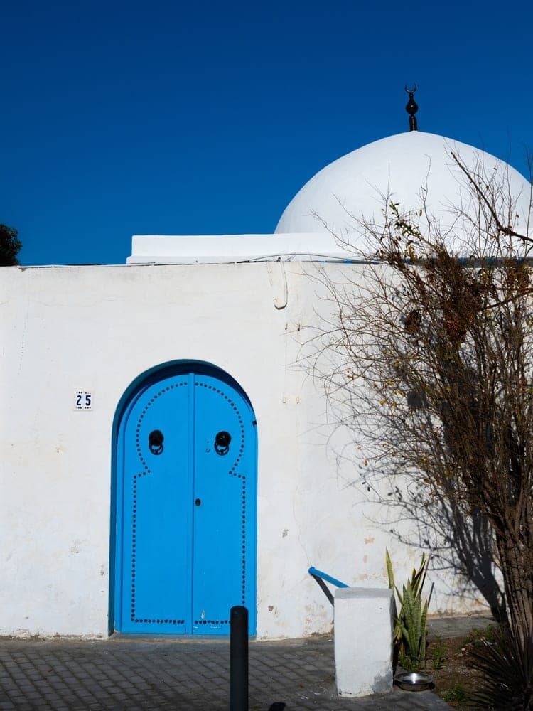 Tunis Blue Door