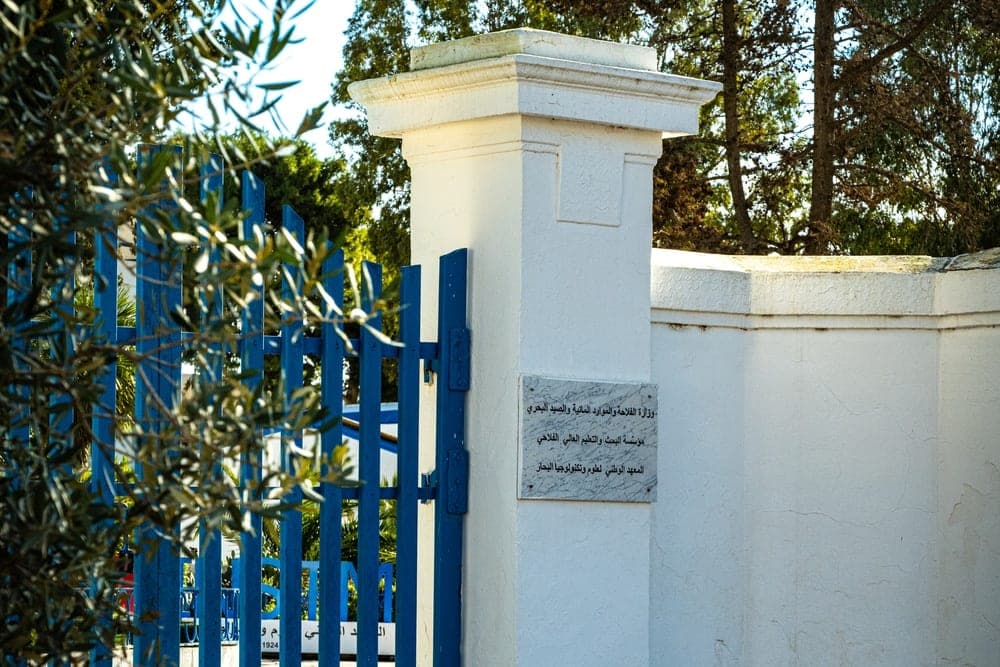 A bright blue wooden gate stands open beside a white pillar with an Arabic inscription, at an entrance in Tunis, Tunisia.
