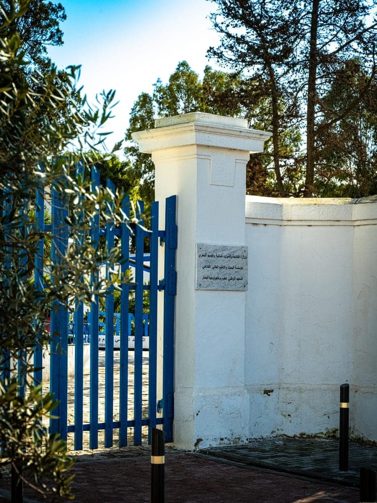 Blue Gate of Tunis