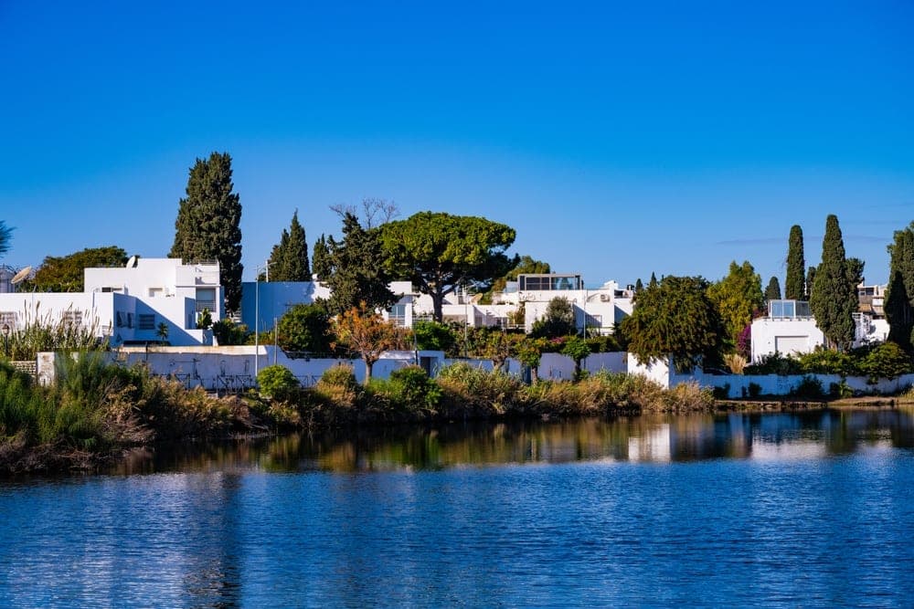 Modern white villas surrounded by lush trees reflected in calm water, Tunis, Tunisia.