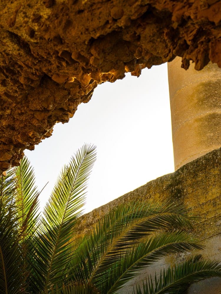 Tunisian Sunlit Arch