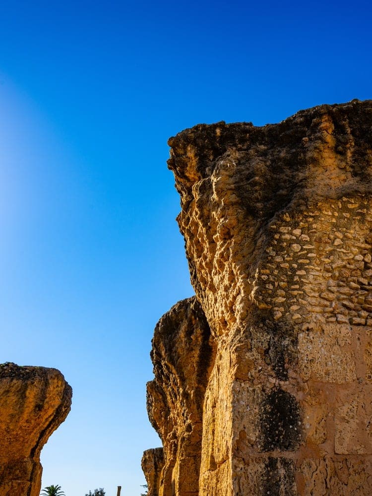 Carthage's Enduring Giants