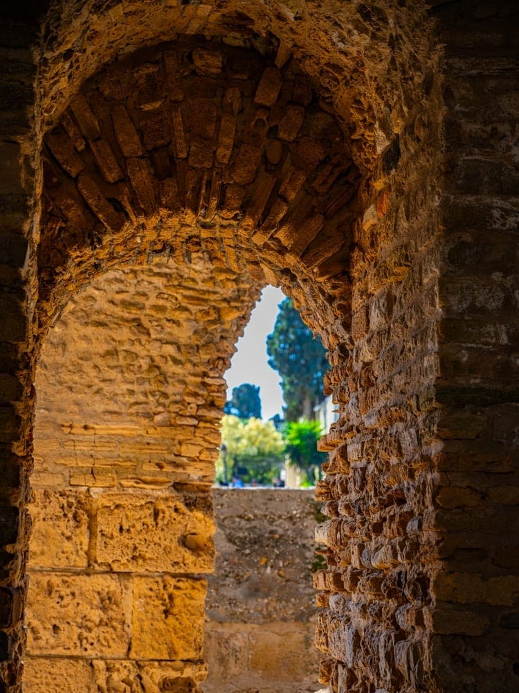 Tunis Arches of Time