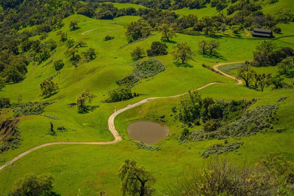 Rolling green hills with winding dirt roads and scattered oak trees in Sunol, California, United States.