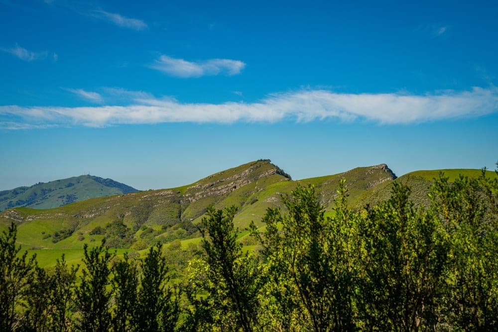 Rolling green hills in Sunol, California under a bright blue sky with white clouds, with foreground foliage.