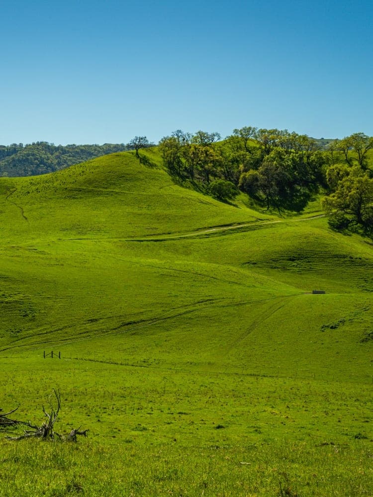 Emerald California Hills