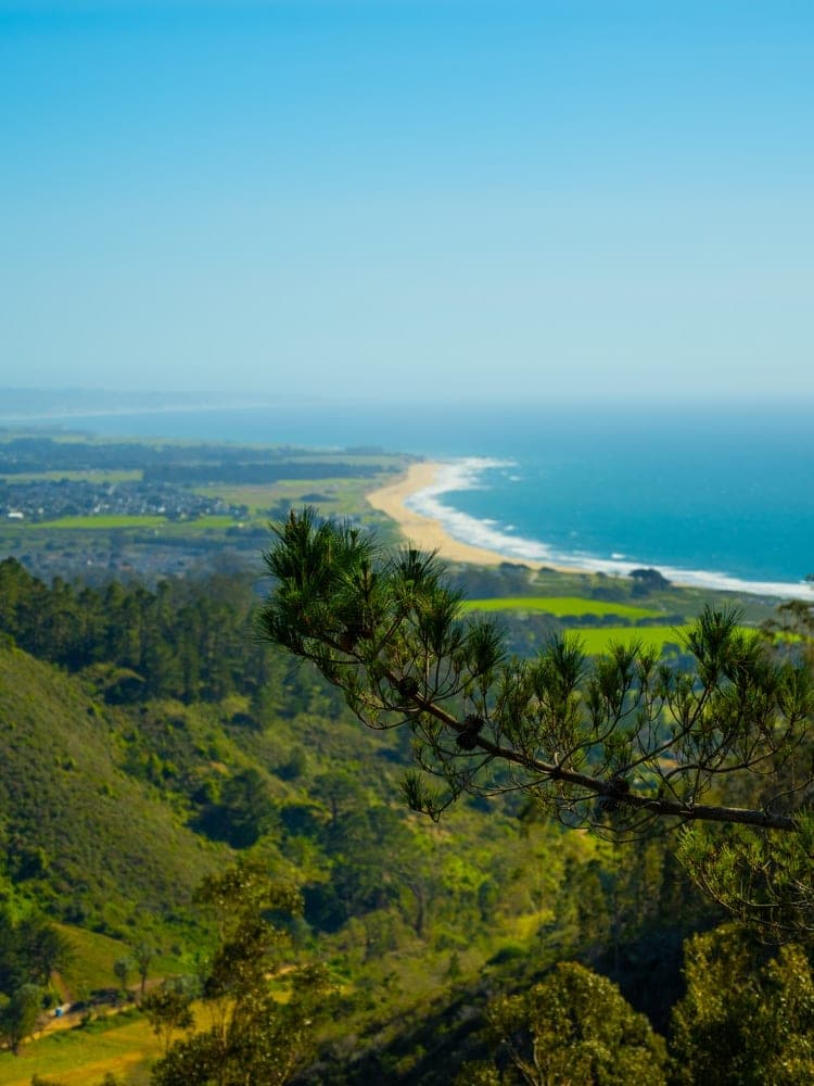 Coastal Serenity, Pacific Edge