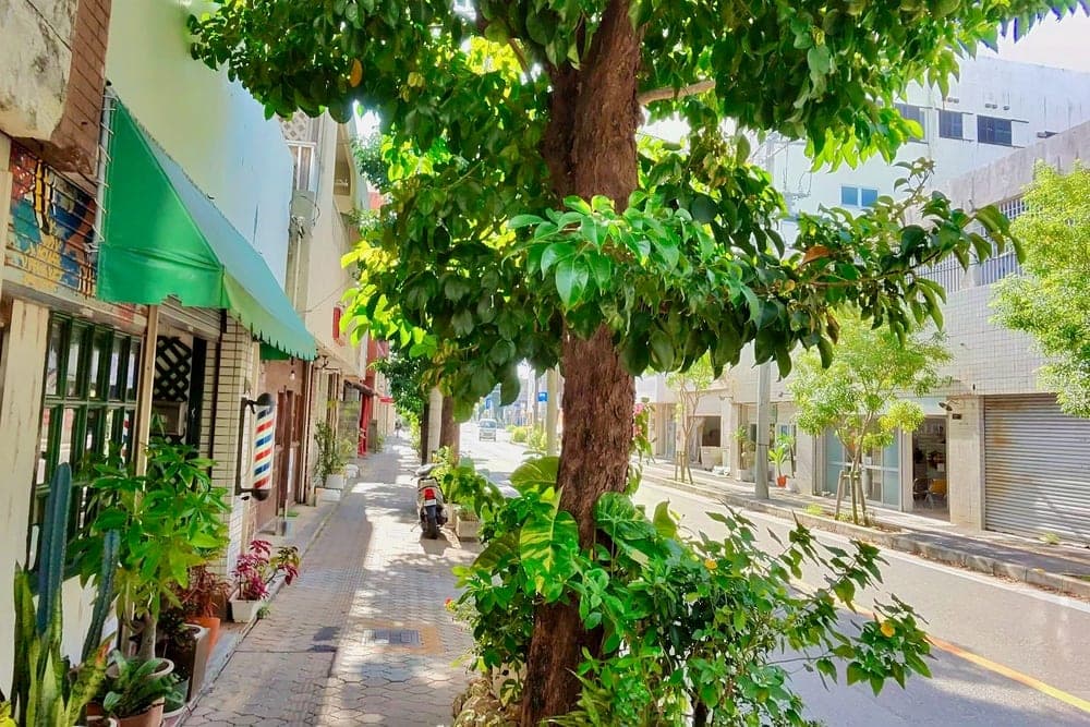 A sun-dappled street in Ishigaki City, Okinawa, Japan, lined with plants and shops, featuring a large tree in the foreground.